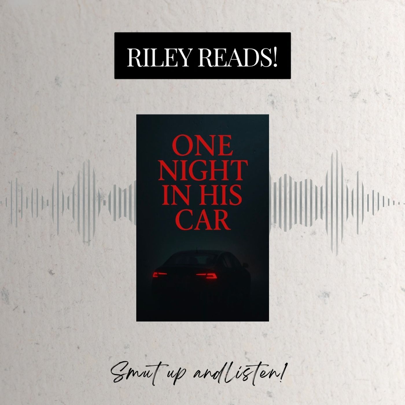 RILEY READS: One Night In His Car by Kora Nova