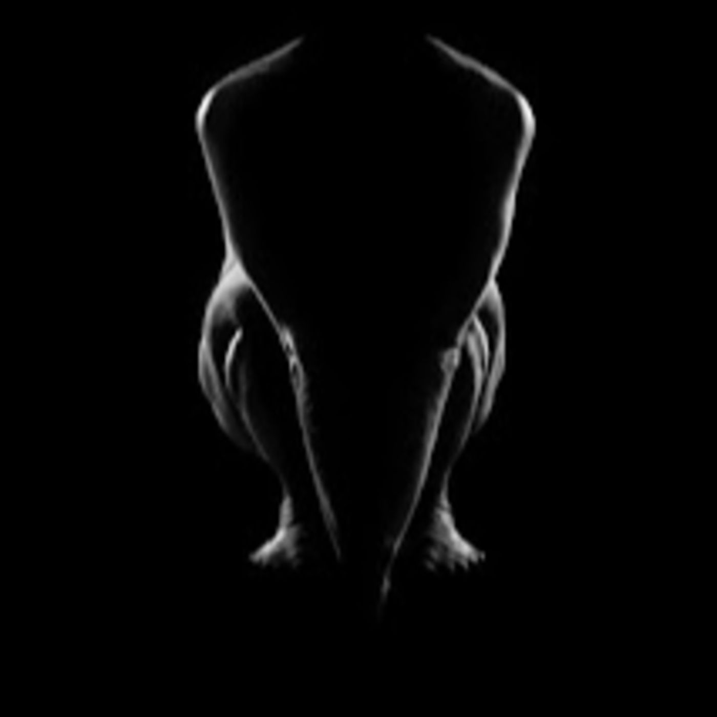 Black Harlequin The Romance Revealed