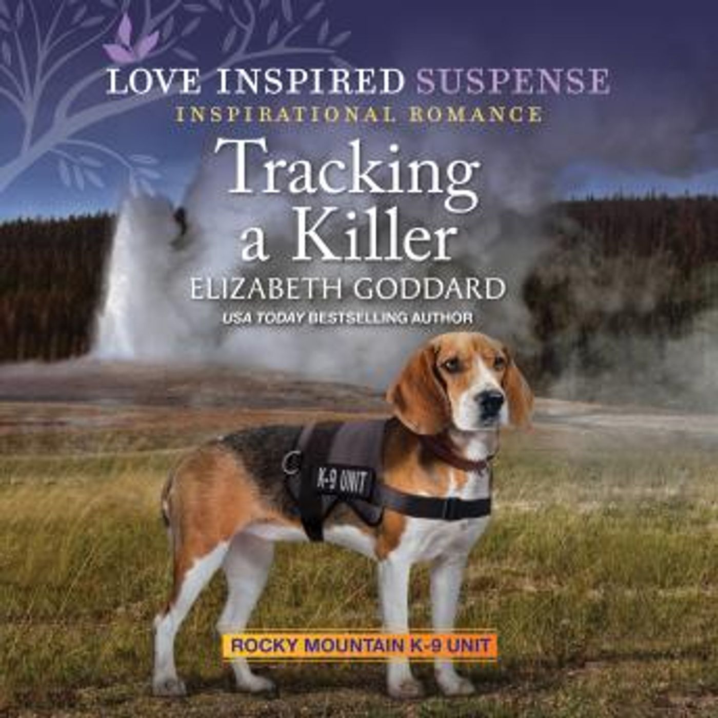 Download Best Full Audiobooks in Romance, Clean & Wholesome