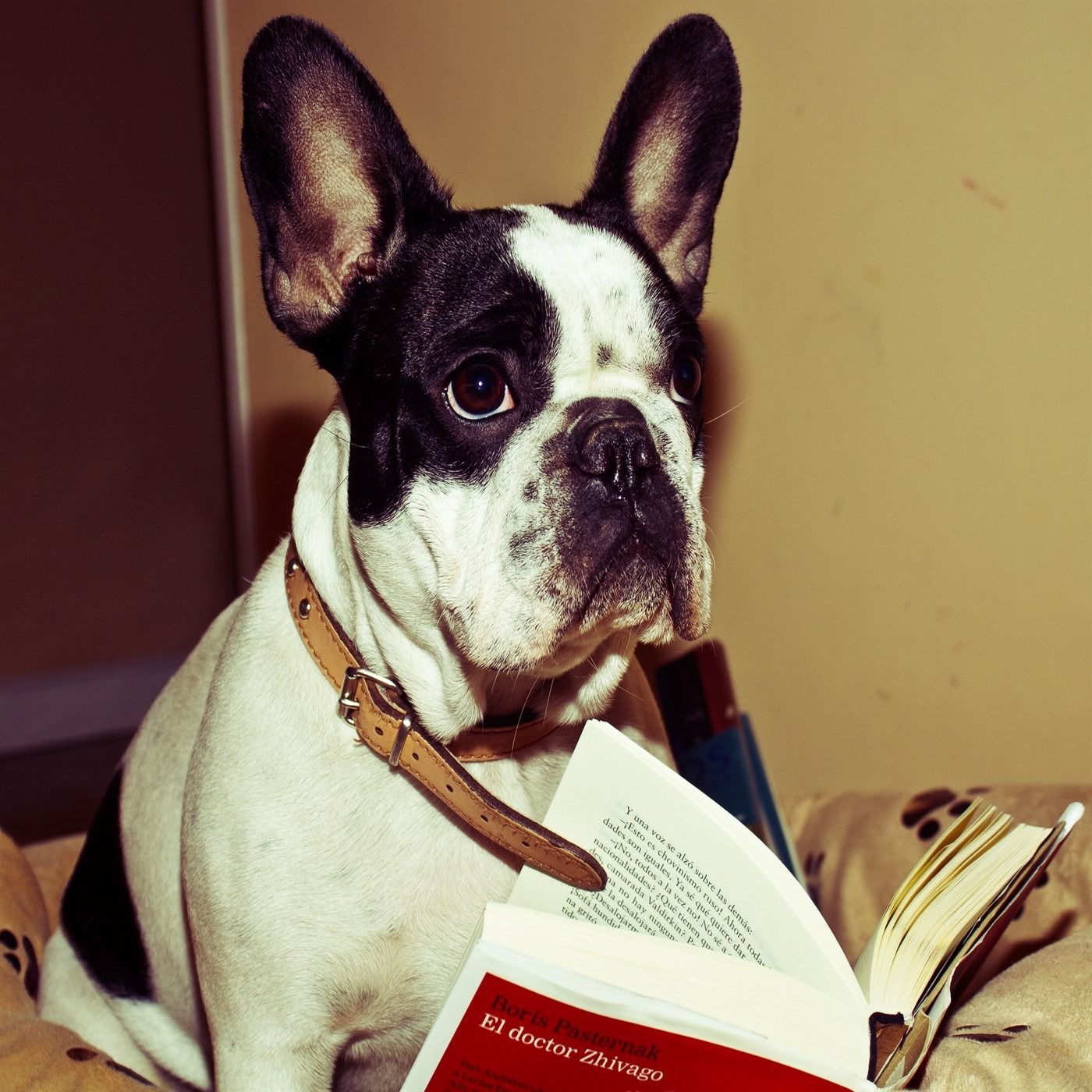Literatura.fm Podcast