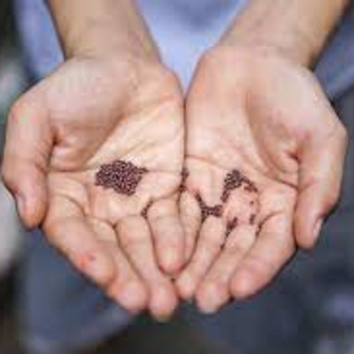 What is the Kingdom of God like?