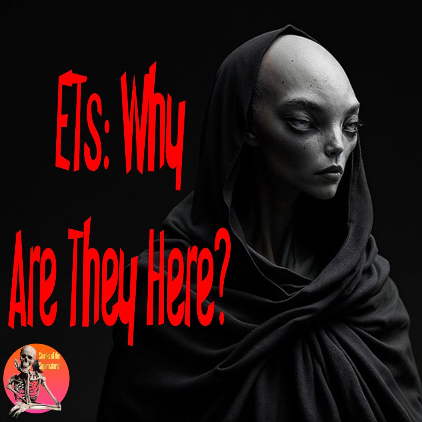 ETs: Why Are They Here? | Interview with Ryushin Malone | Podcast