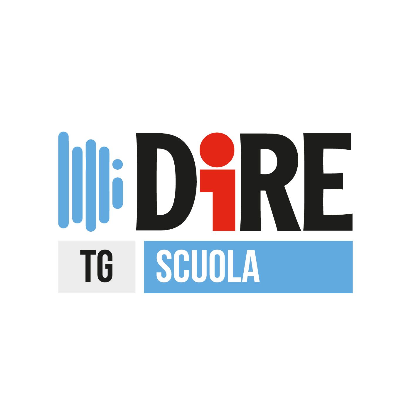 Dire Podcast, Diamo voce alla notizia