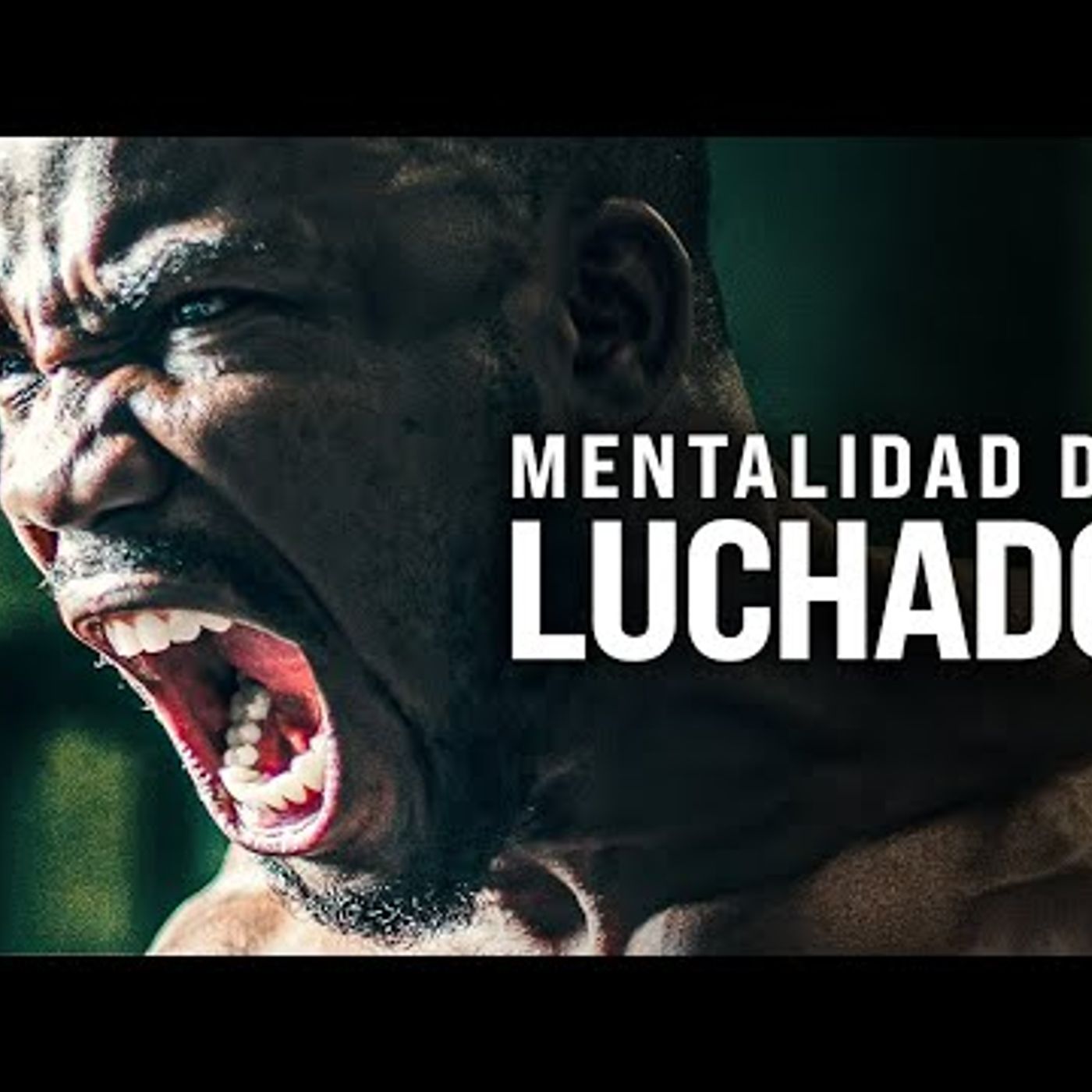 50. MENTALIDAD DEL LUCHADOR - Potente Discurso Motivacional