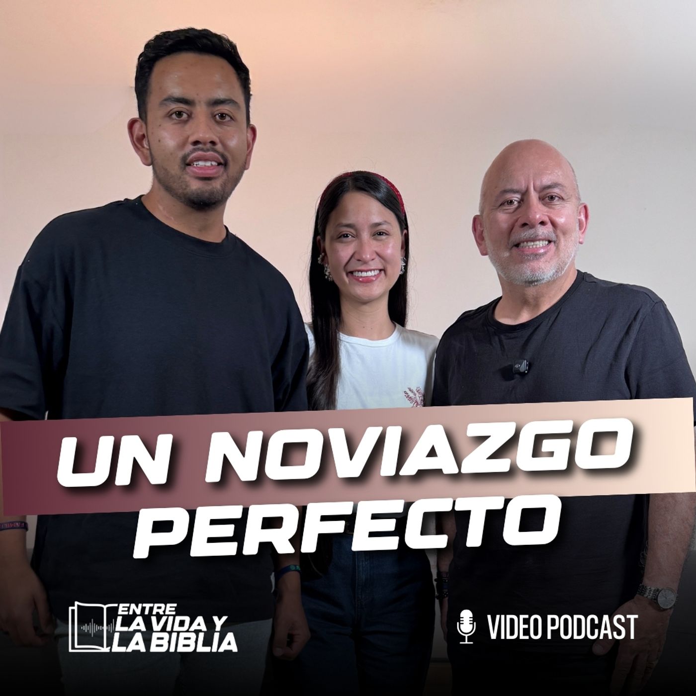 Un noviazgo perfecto episode artwork