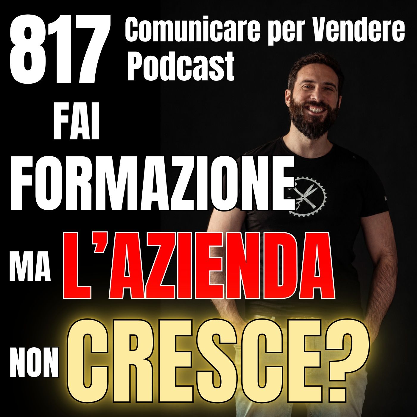 817 - Hai fatto formazione ma il Fatturato non cresce? episode artwork