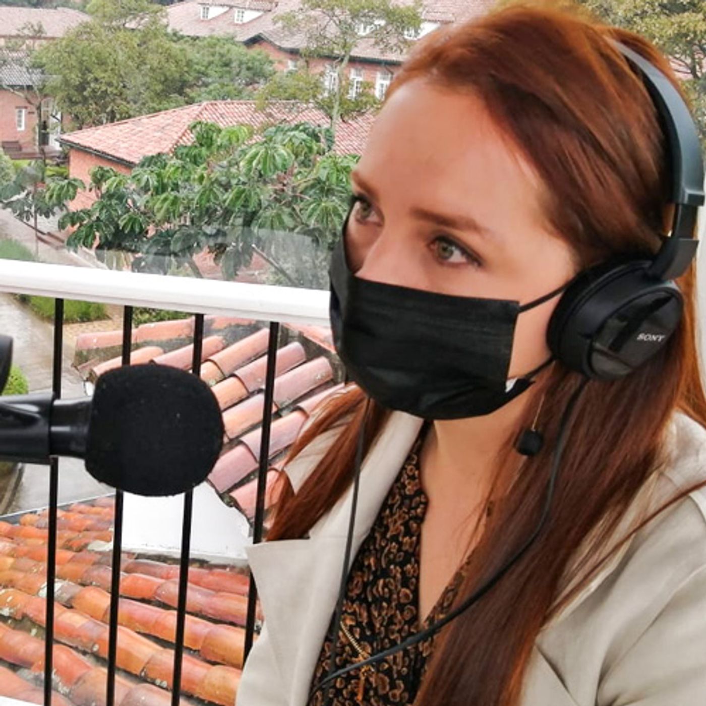 Desde la Cúpula