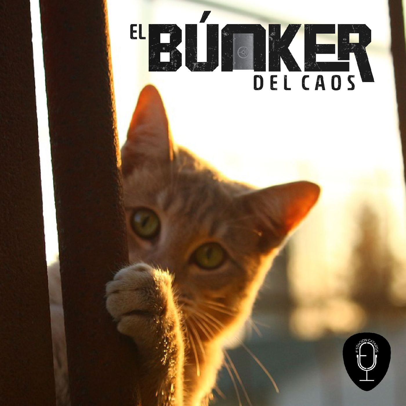 El Búnker del Caos