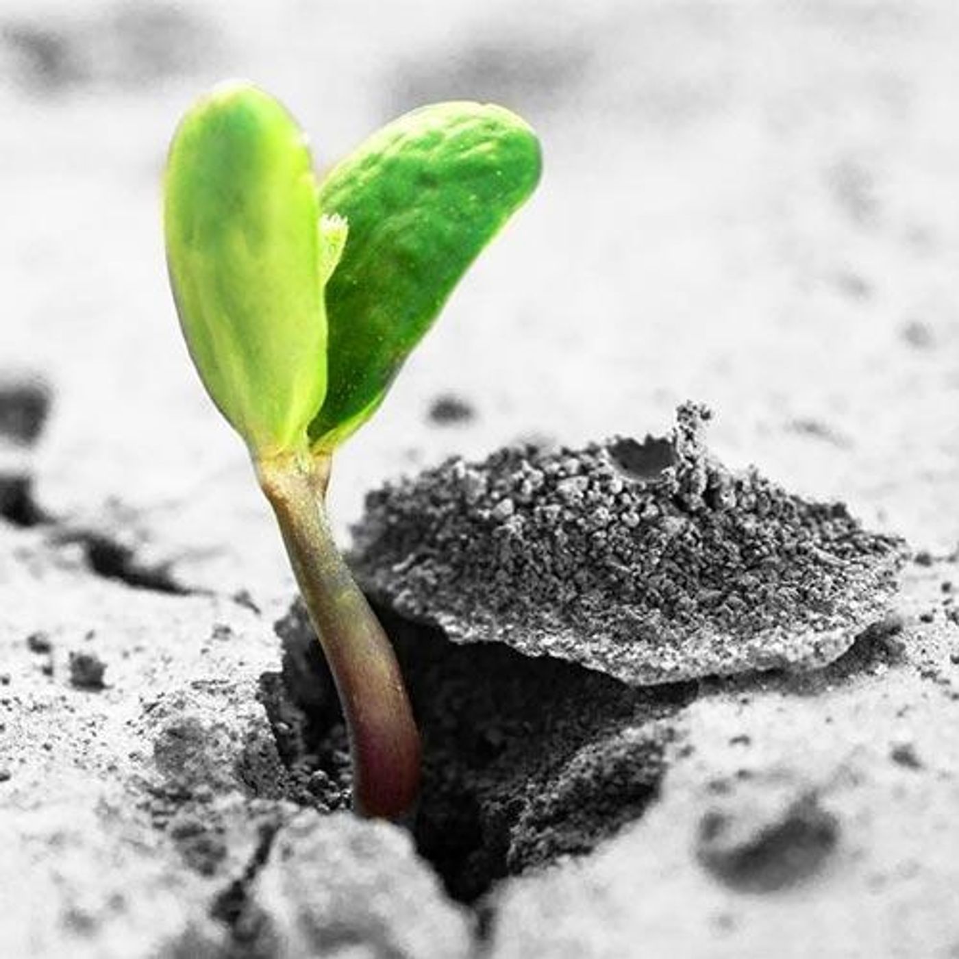 New Beginnings - no resolutions here - start today with a better life!