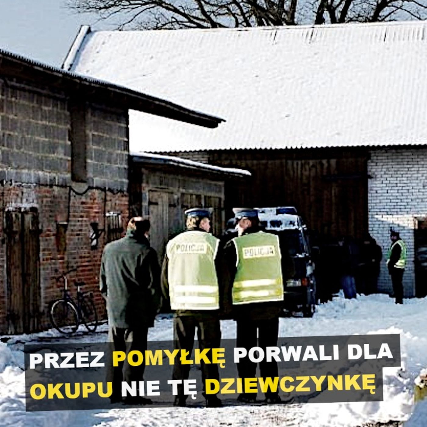Przez pomyłkę porwali dla okupu nie tę dziewczynkę - Kryminalne opowieści episode artwork