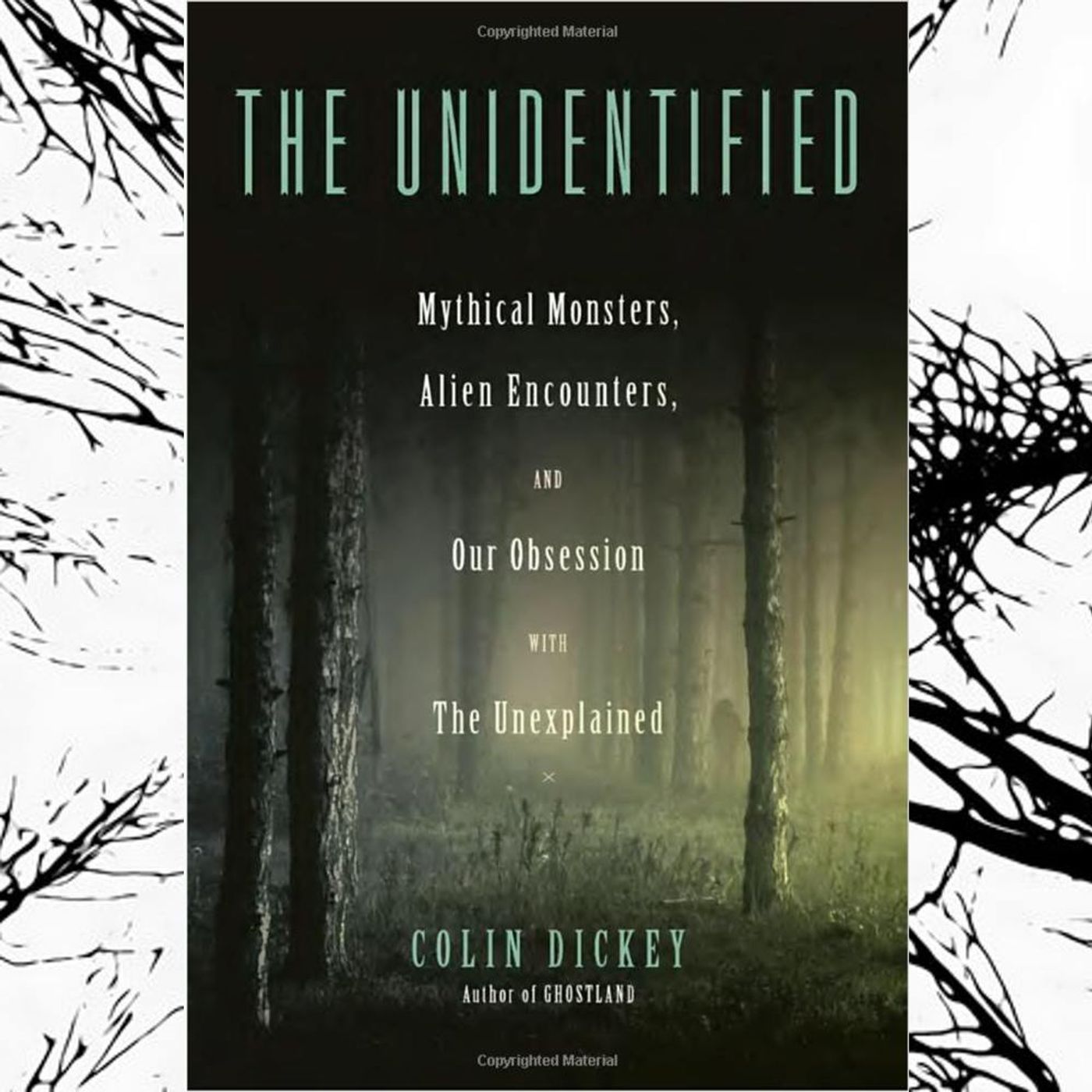 217 - The Unidentified