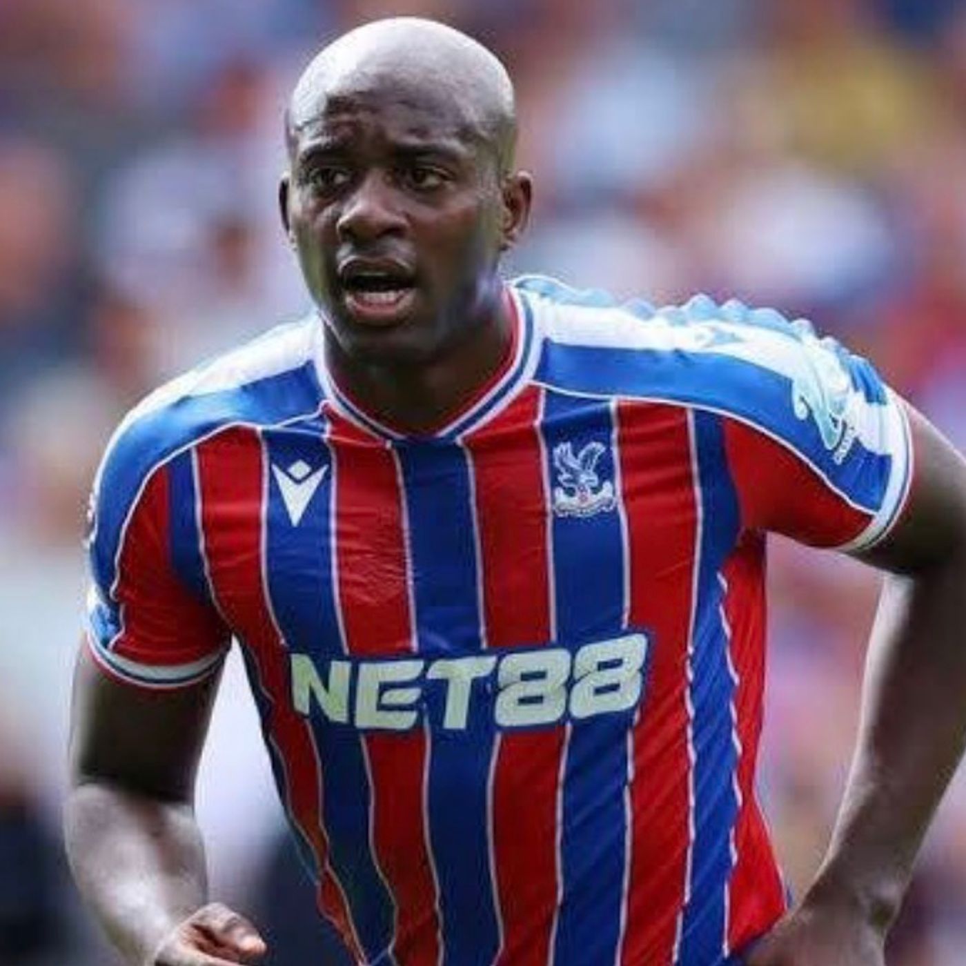 The Football Referee