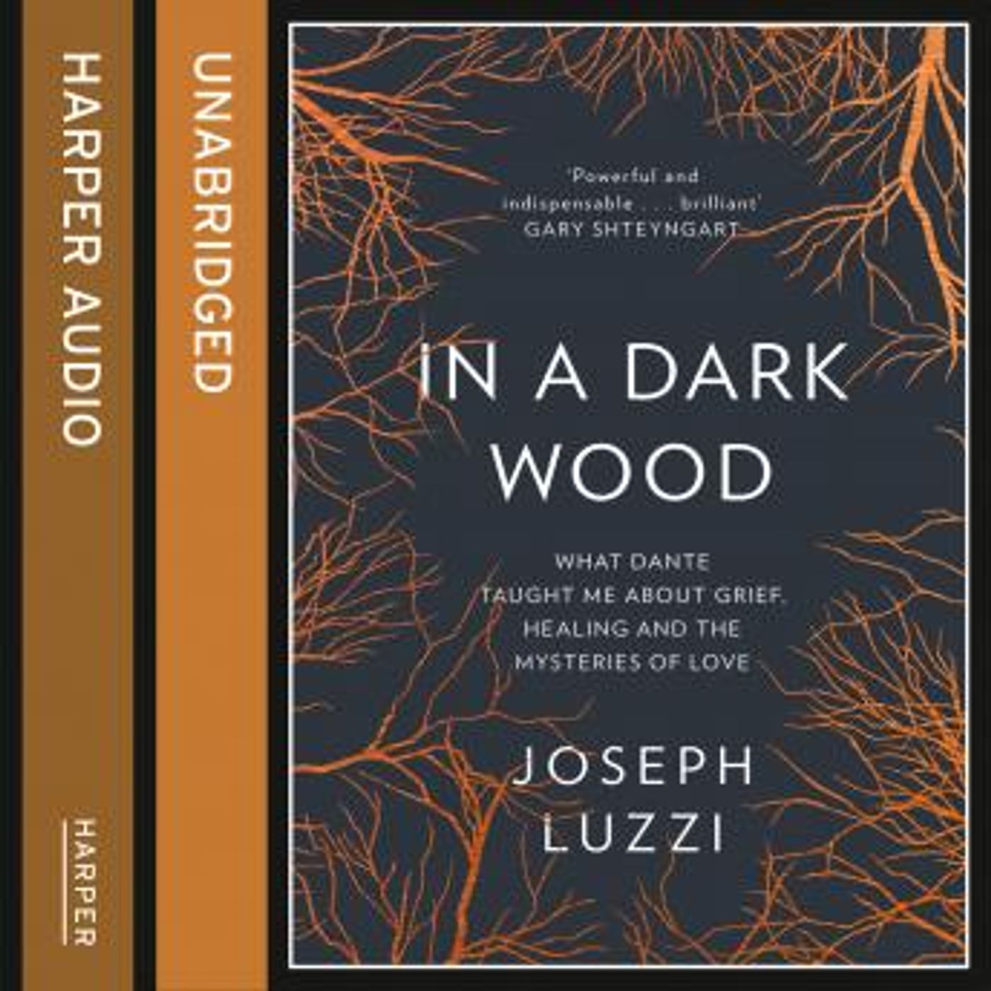 Discover Top Full Audiobooks in Biography & Memoir, Memoirs