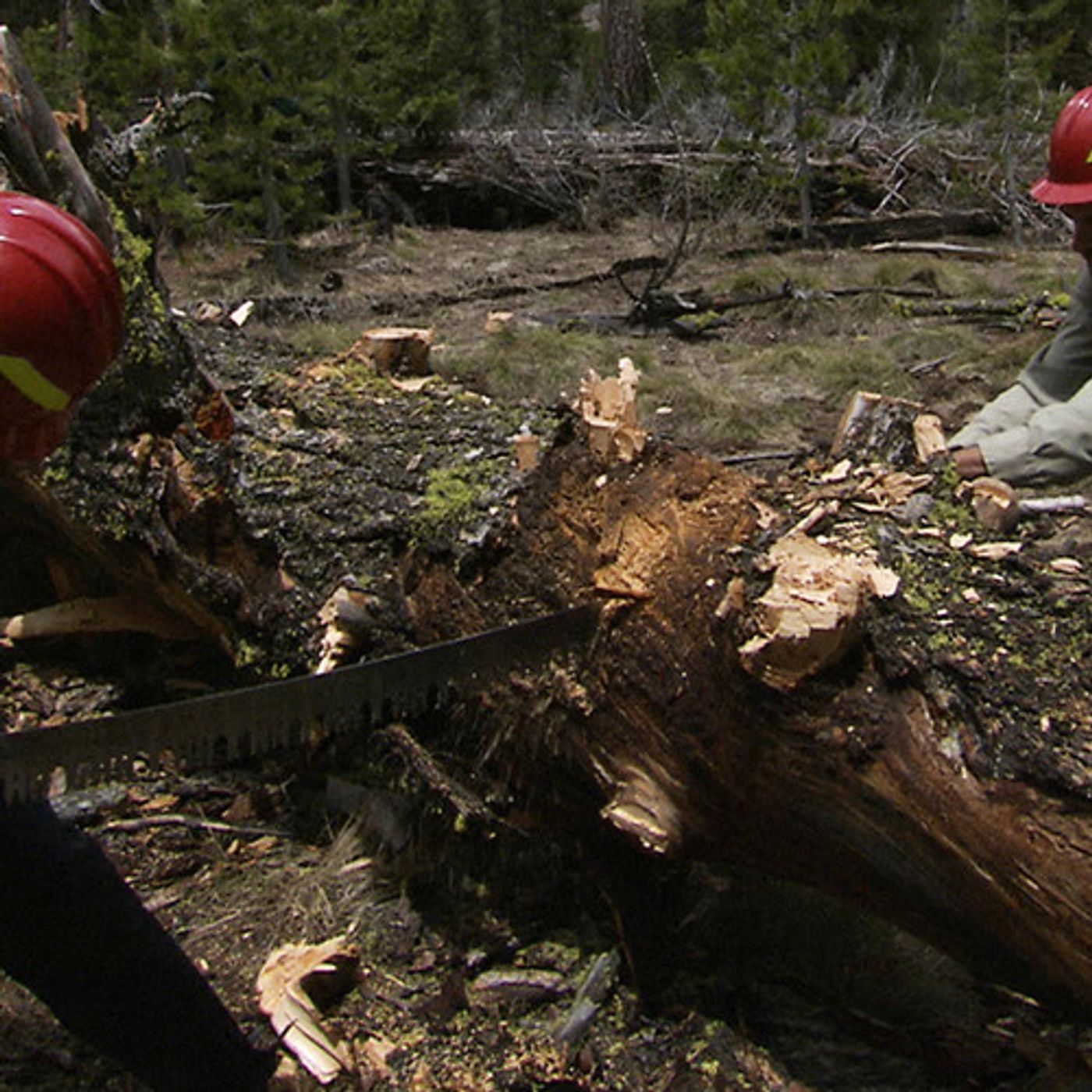 Trails Of Trouble As Maintenance Slides In Wilderness Areas episode artwork