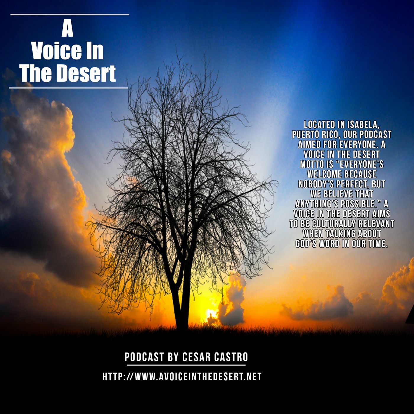 A Voice in The Desert Podcast cover art