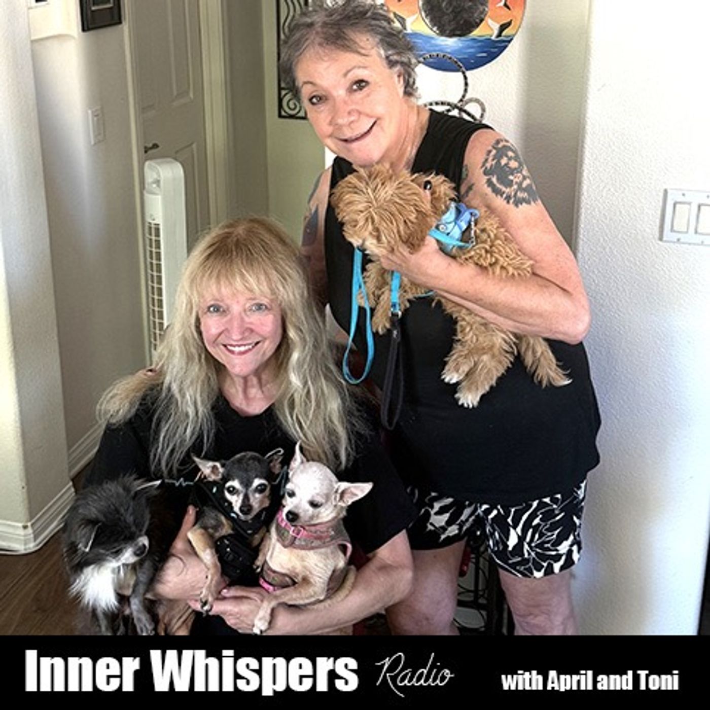 Inner Whispers - Episode 374 - 1/27/26 episode artwork