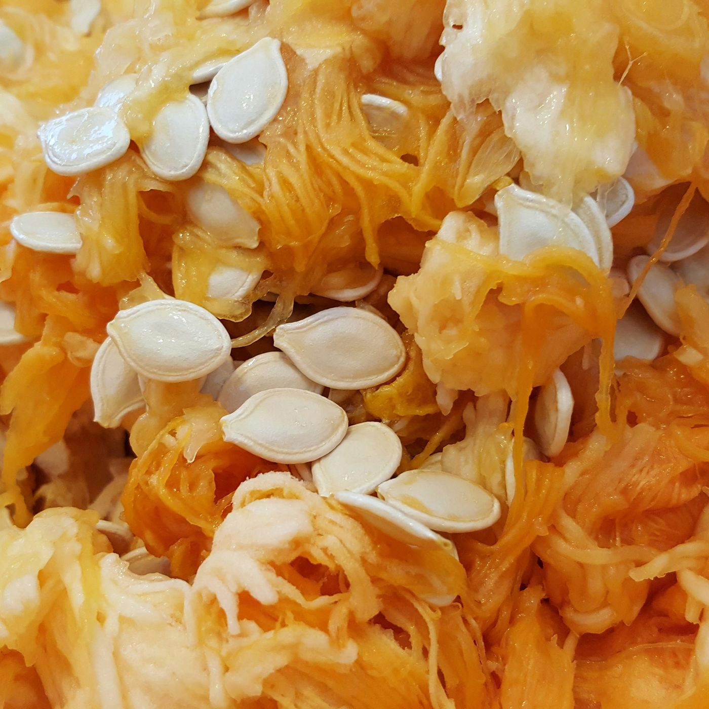Pumpkin Seeds: Health Benefits and Natural Preparation Methods episode artwork