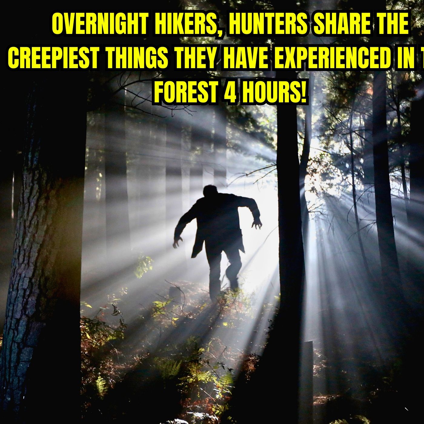 Overnight Hikers, Hunters Share The Creepiest Things They Have Experienced In The Forest 4 Hours!