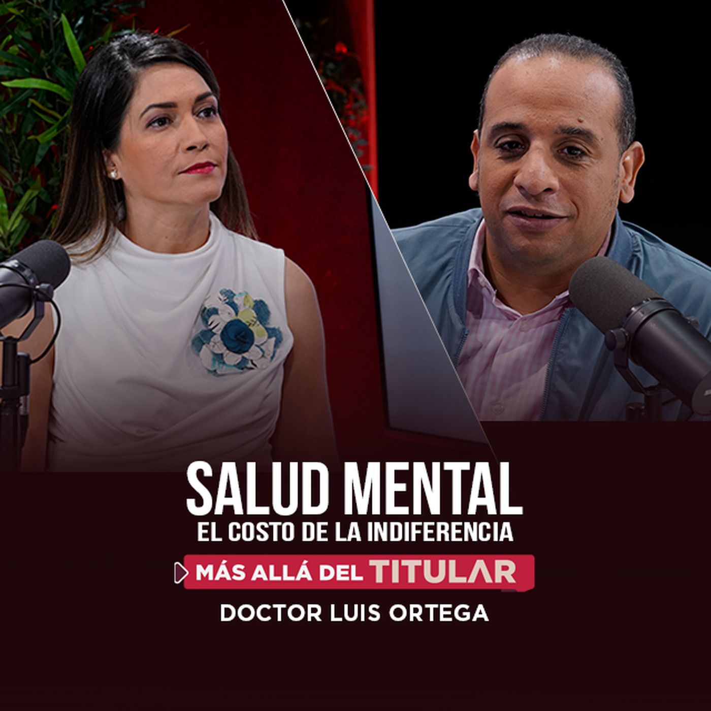 Salud mental, el costo de la indiferencia episode artwork