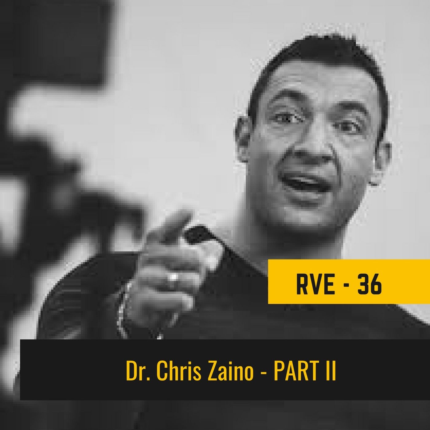 Episode 36 - Dr. Chris Zaino PART 2