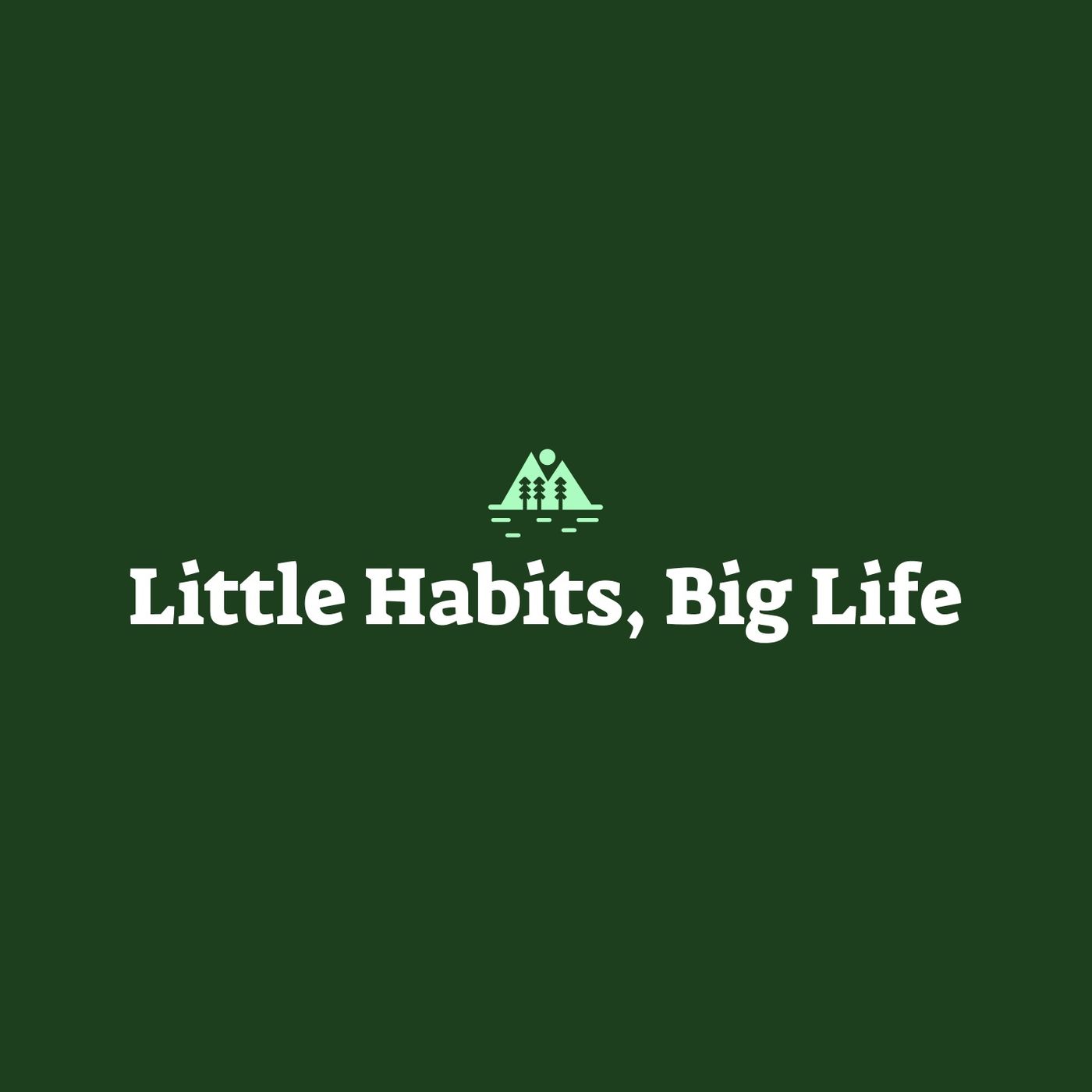 Little Habits, Big Life