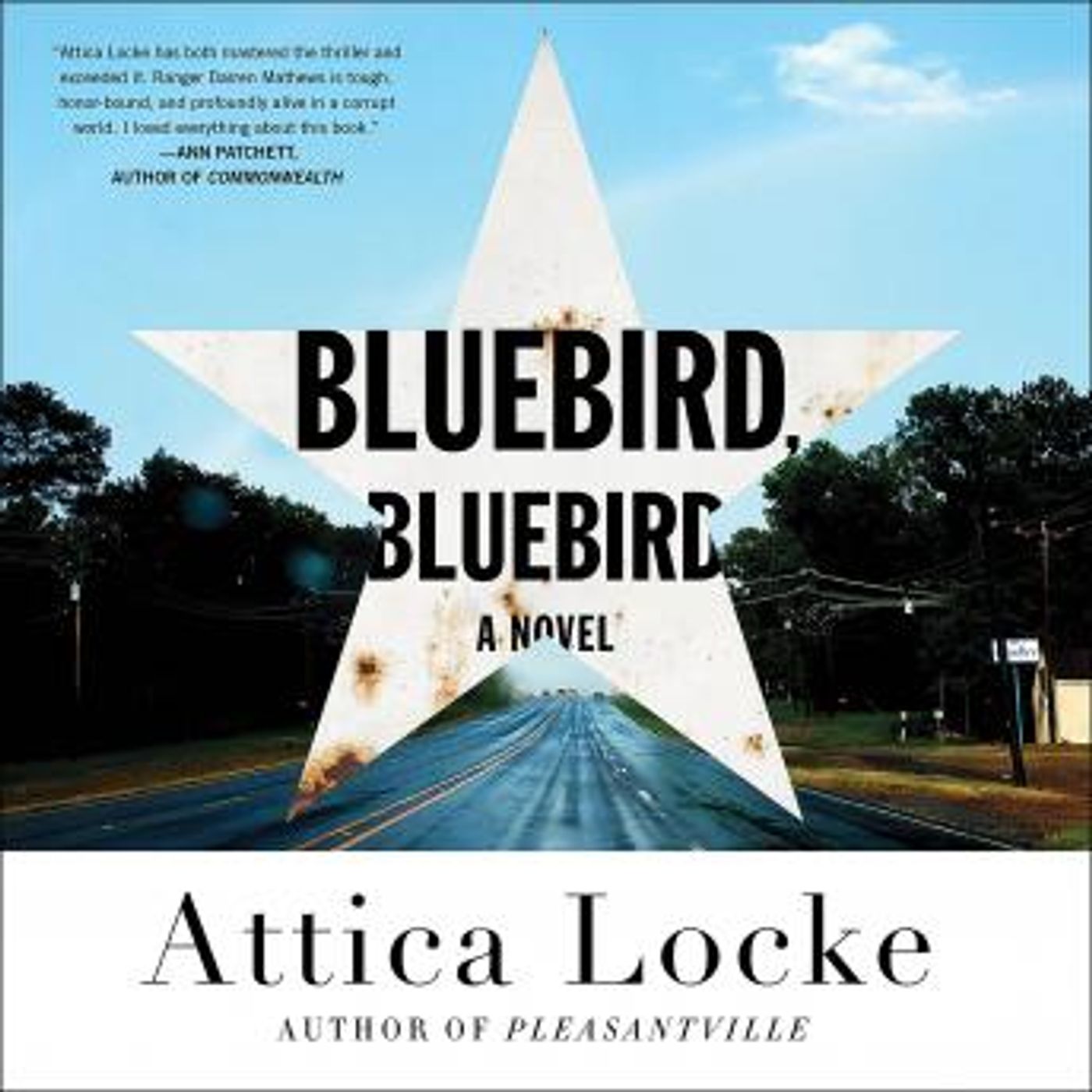 Best Full Audiobooks in Mystery, Thriller & Horror, Police & Detective