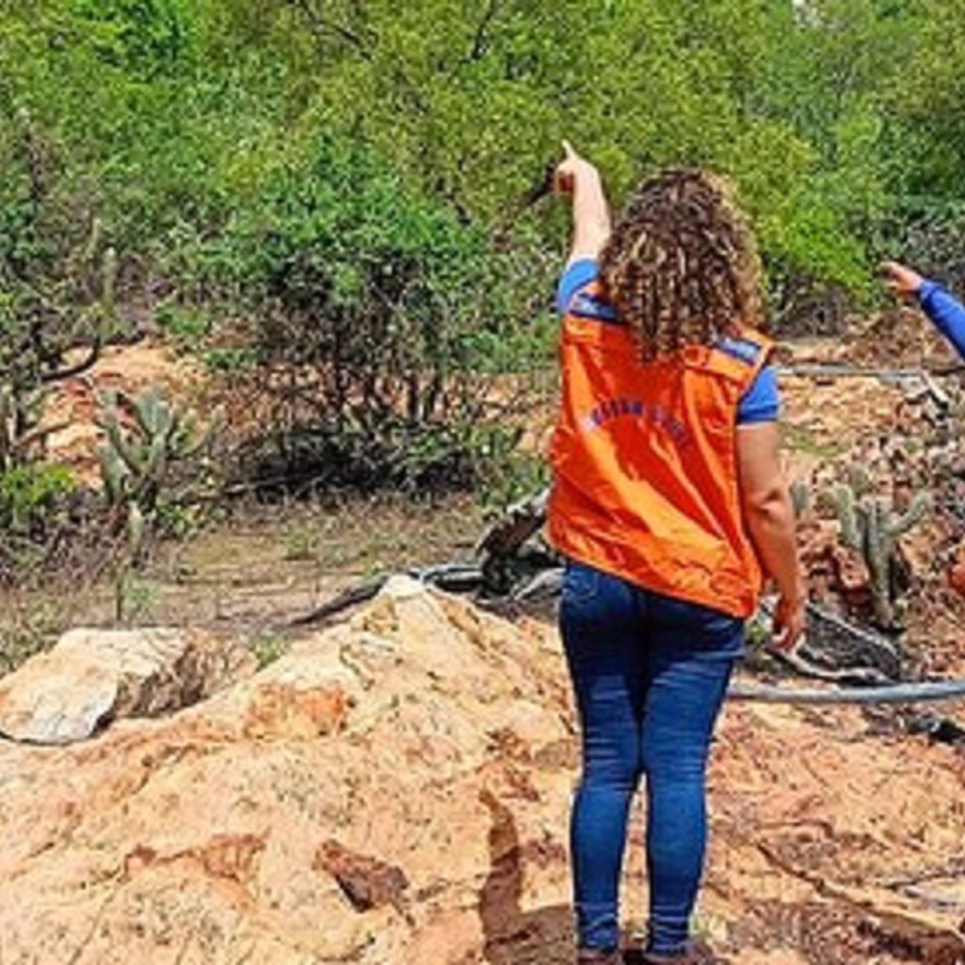 Afetadas pela estiagem, Juazeiro e mais três cidades da Bahia entram na lista de municípios em situação de emergência