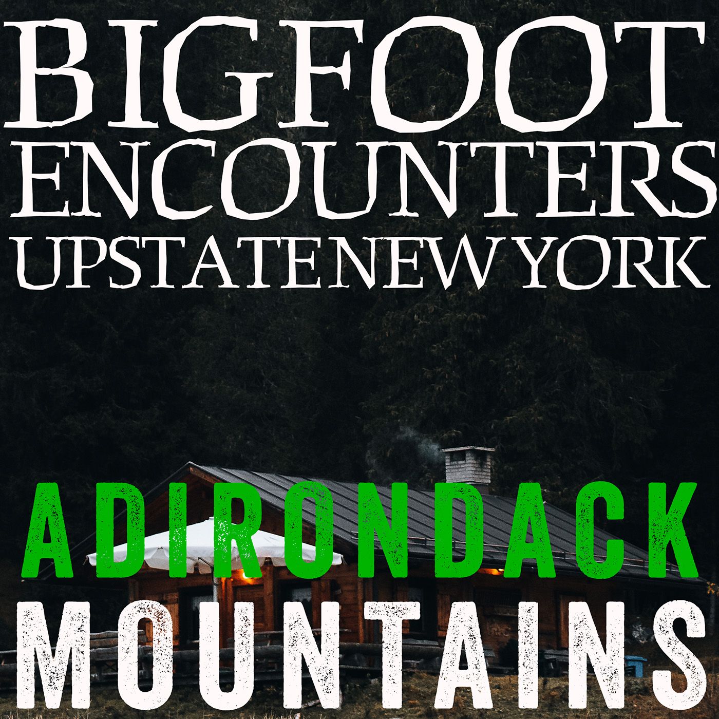 BIGFOOT EXPERIENCES AT THE CABIN IN UPSTATE NEW YORK! | THE ADIRONDACK MOUNTAINS