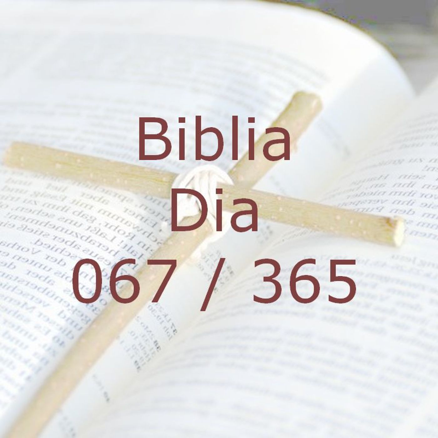 La Biblia en 365 dias