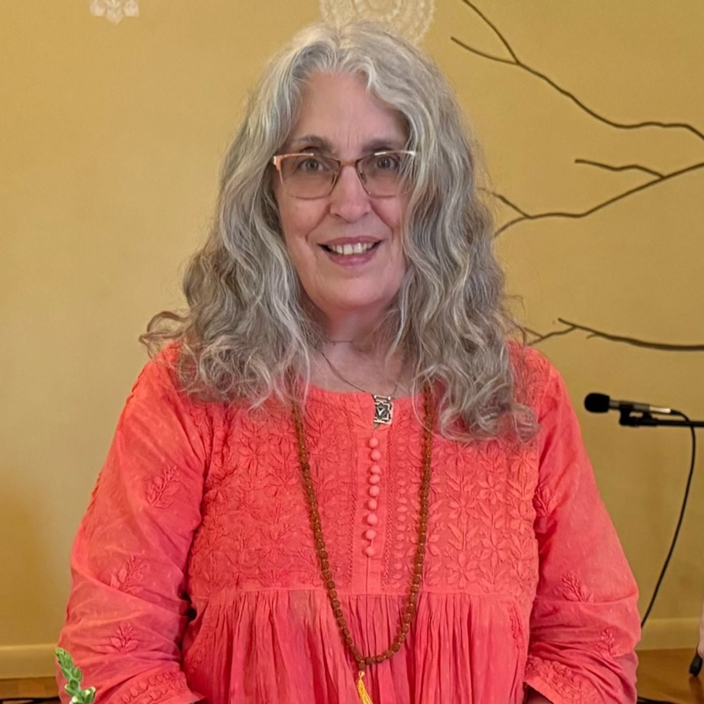 Thoughts on breathing. A Wisdom Circle Satsang with Swamini Shraddhananda Saraswati 06292025 episode artwork
