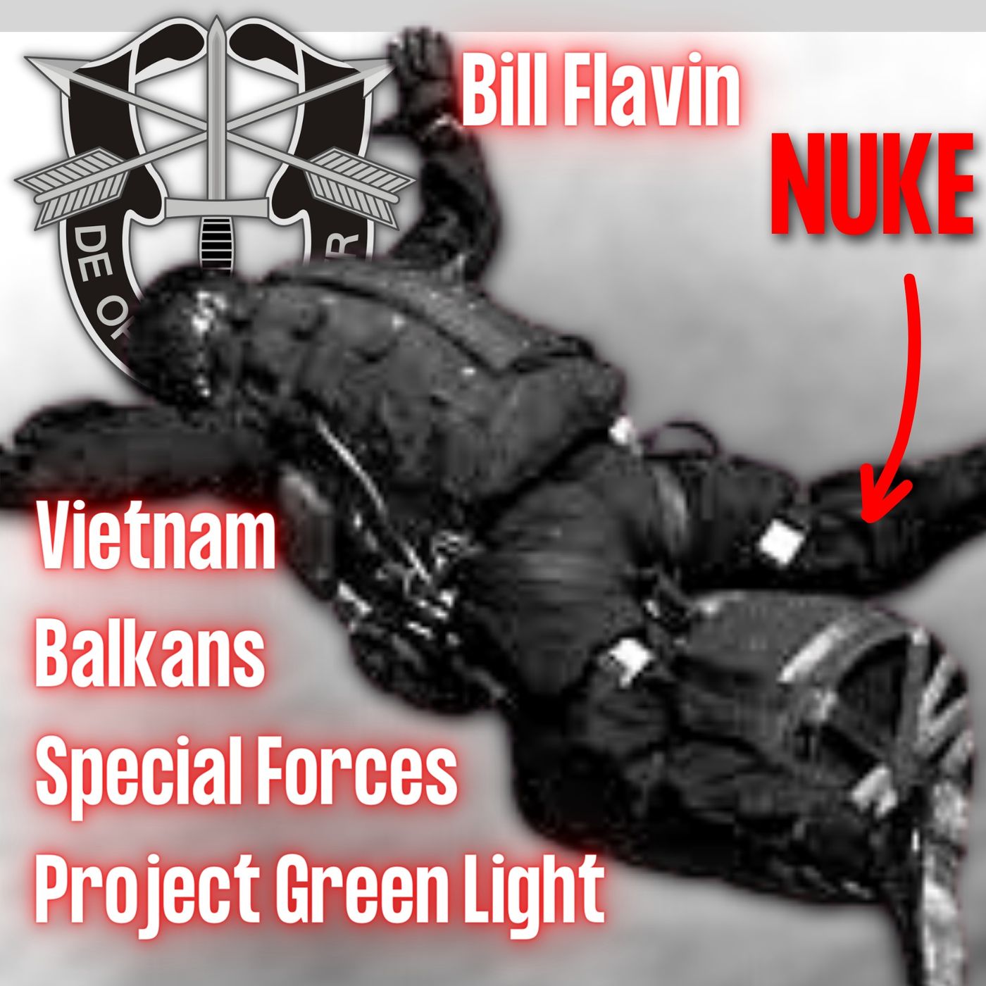 cover of episode From Vietnam To Jumping Out Of Planes With Nukes | Bill Flavin | Ep. 258