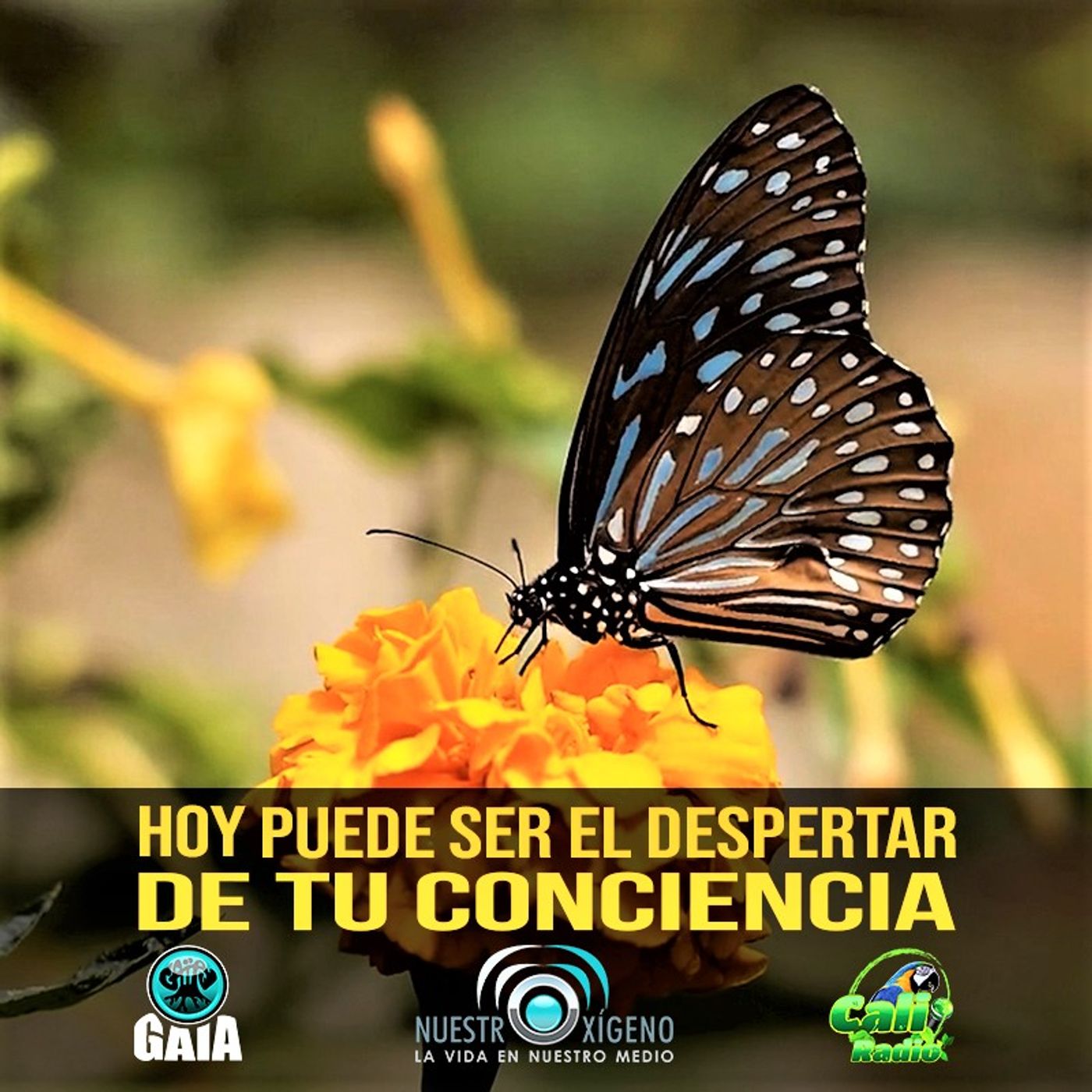2022 Nuestro Oxigeno 04- Abril