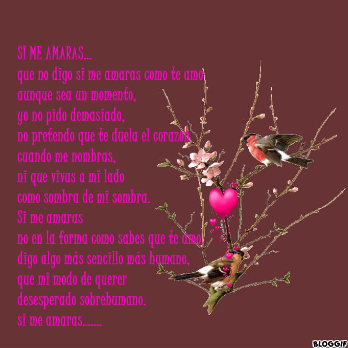 pistas de Oriana Cecilia Bravo Rojas