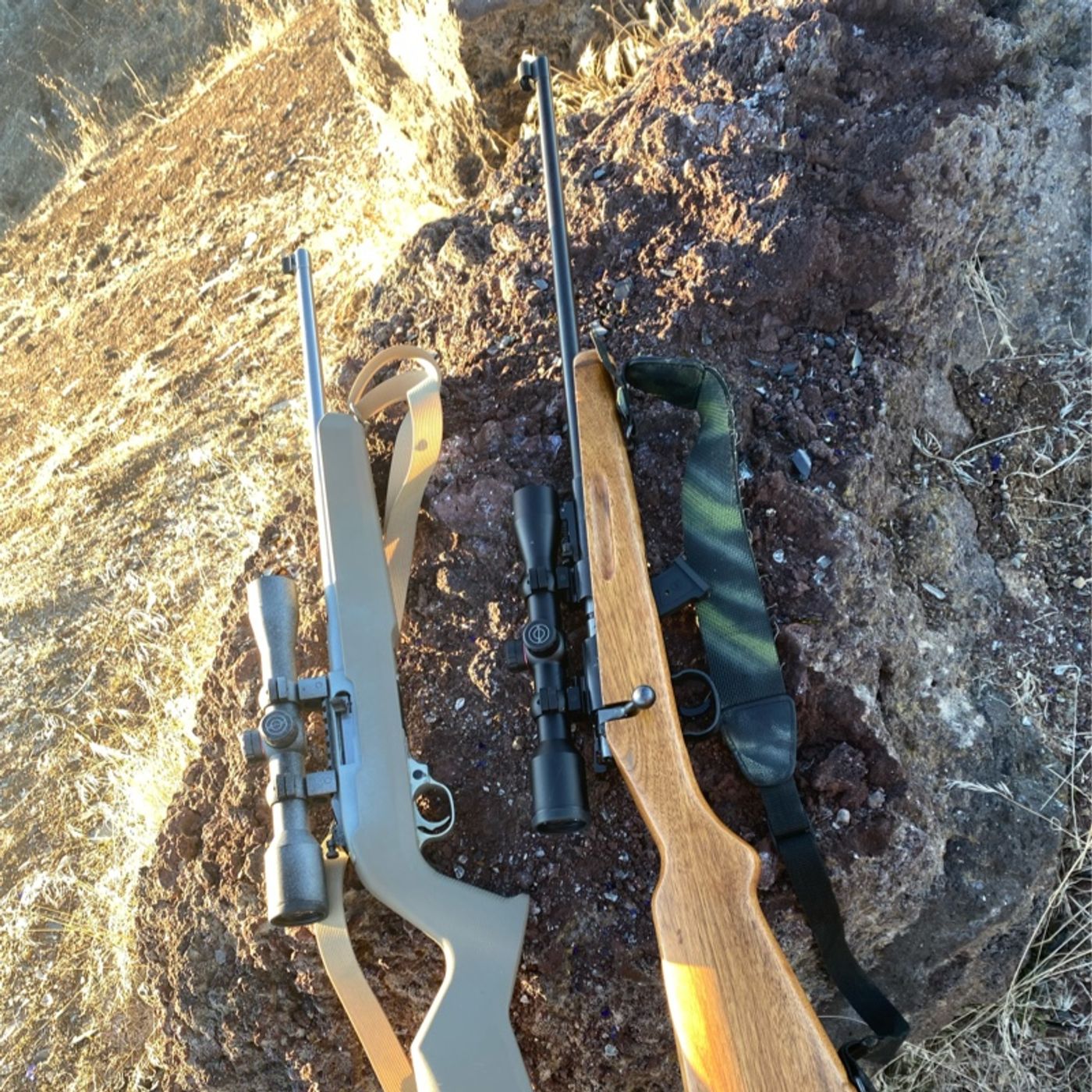 Cool Old 22s - Colt Savage Stevens Sears Winchester Remington and More