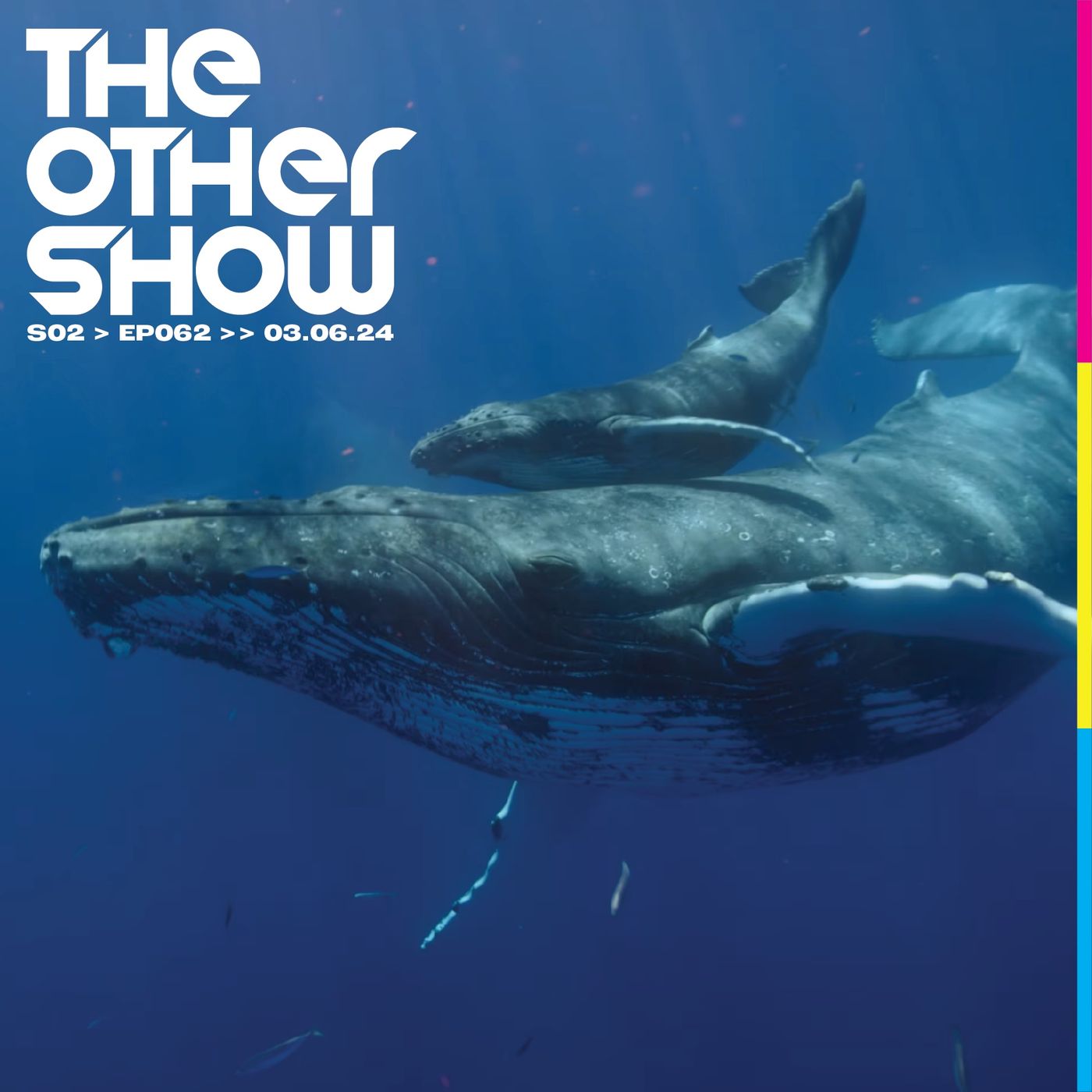 The Other Show