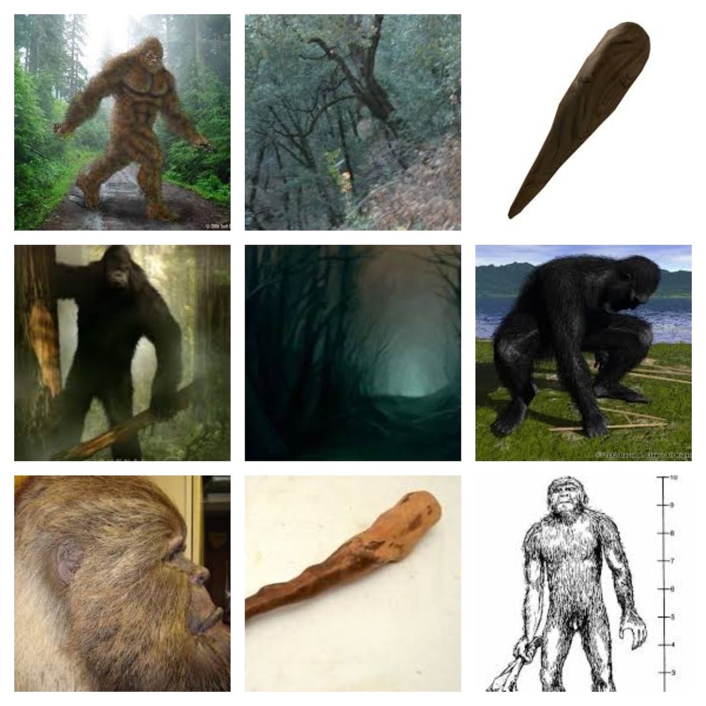 Woodknocking, Stone clacking  and Chimps Like Creatures in the Woods