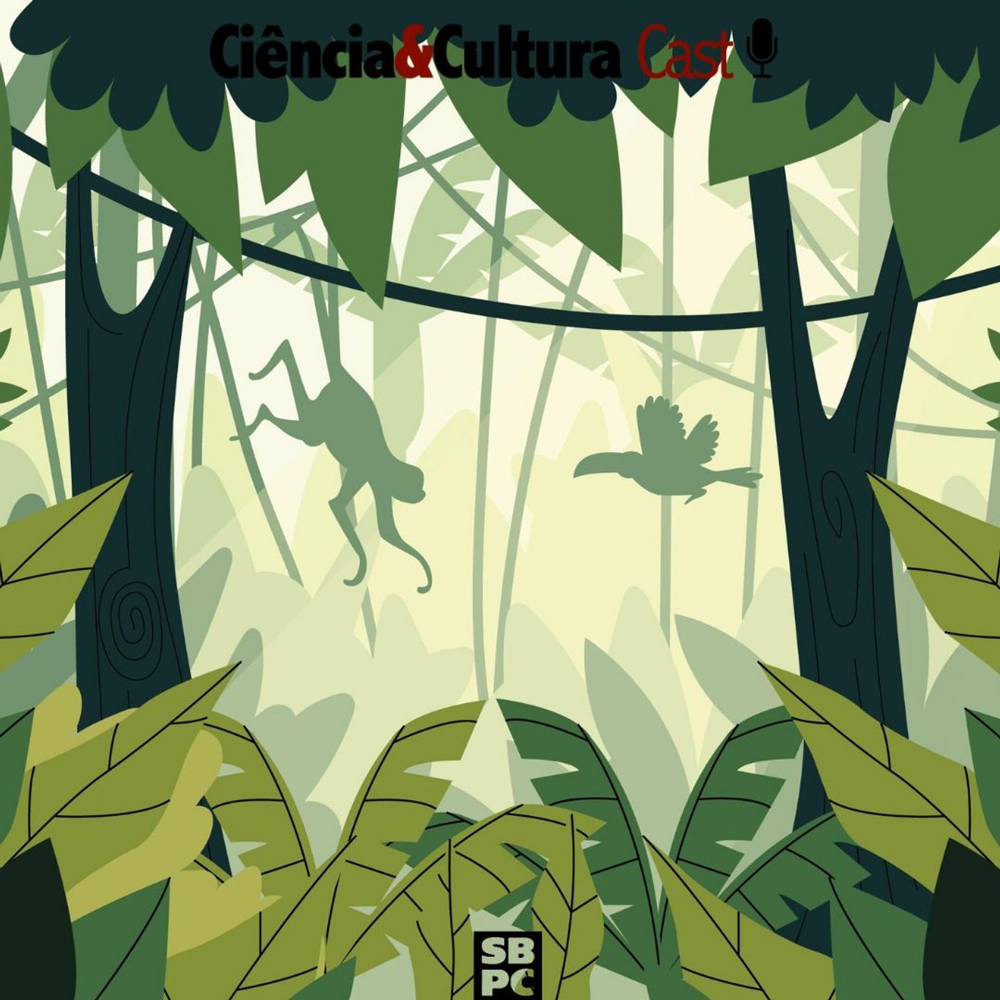 A Riqueza das florestas