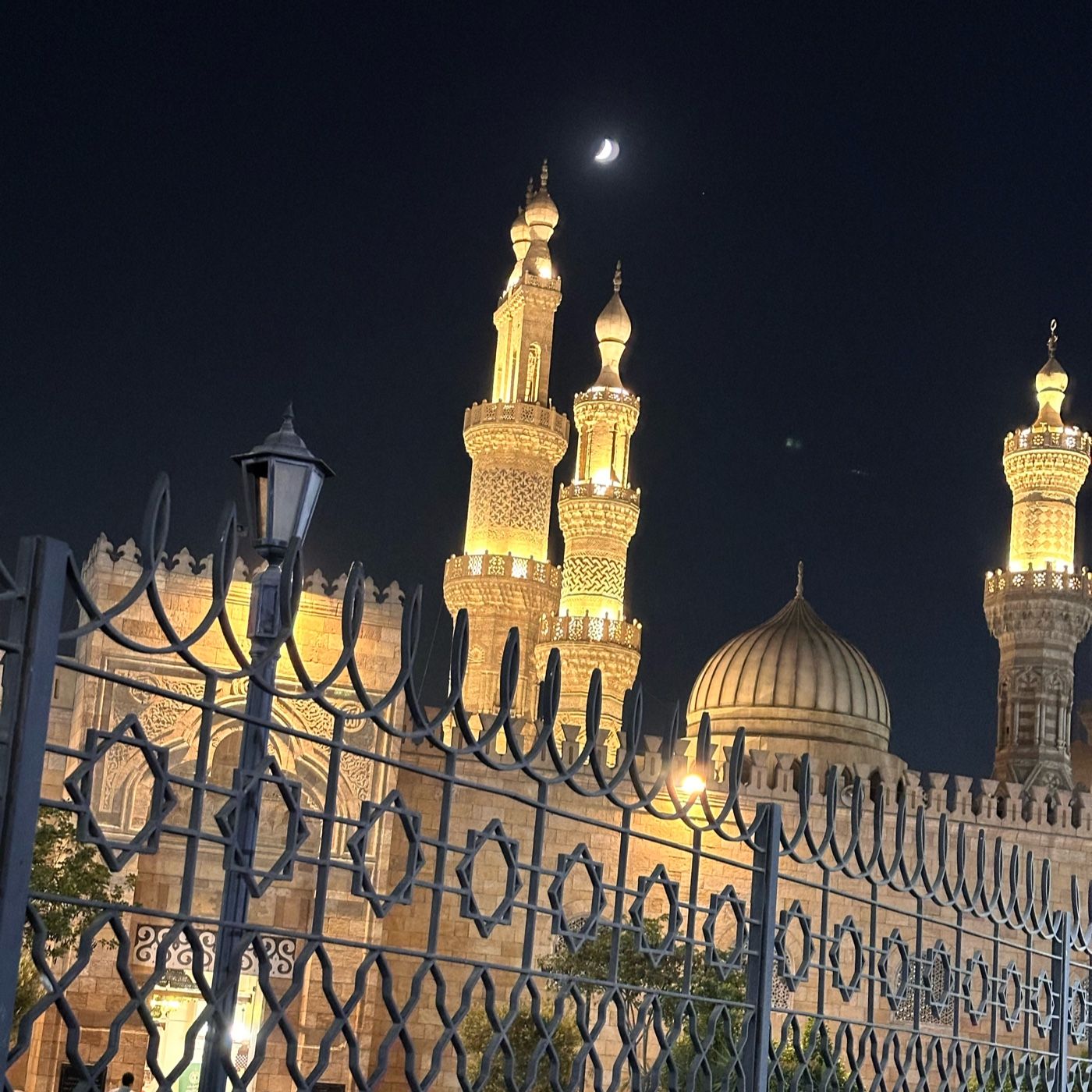 مهاترات عاقل