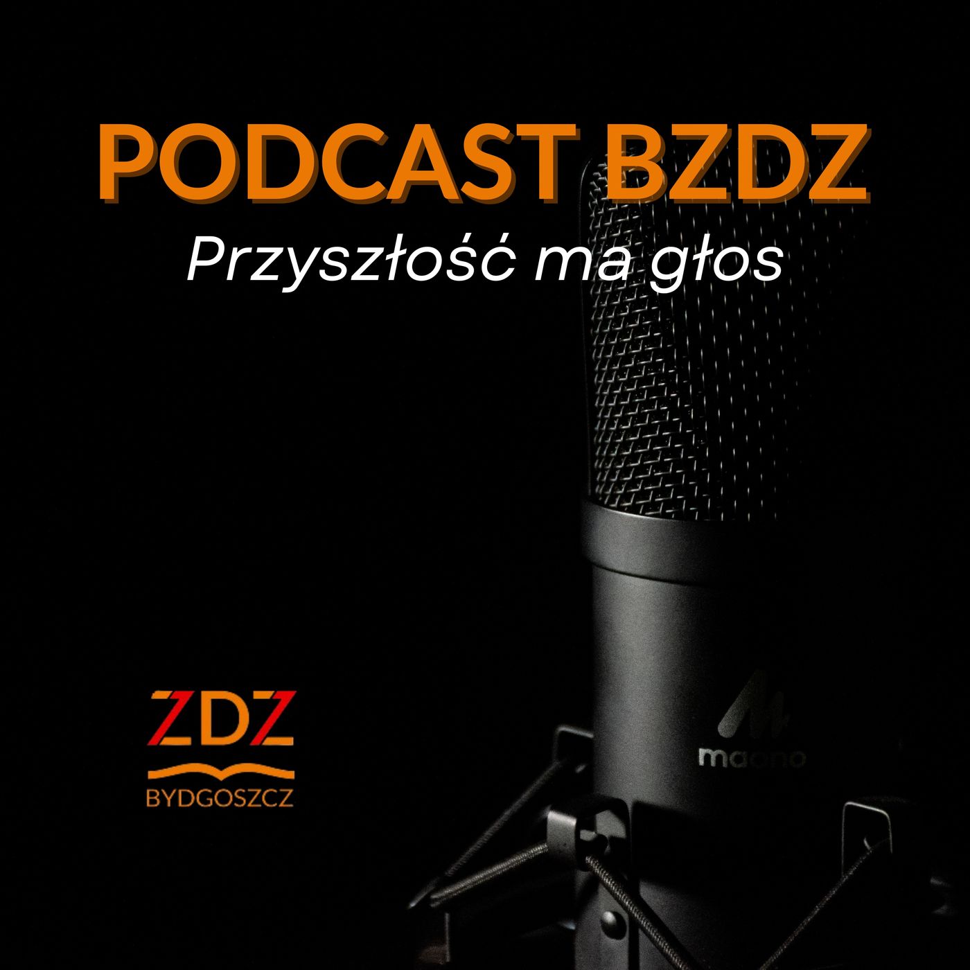 Podcast BZDZ - Przyszłość ma głos