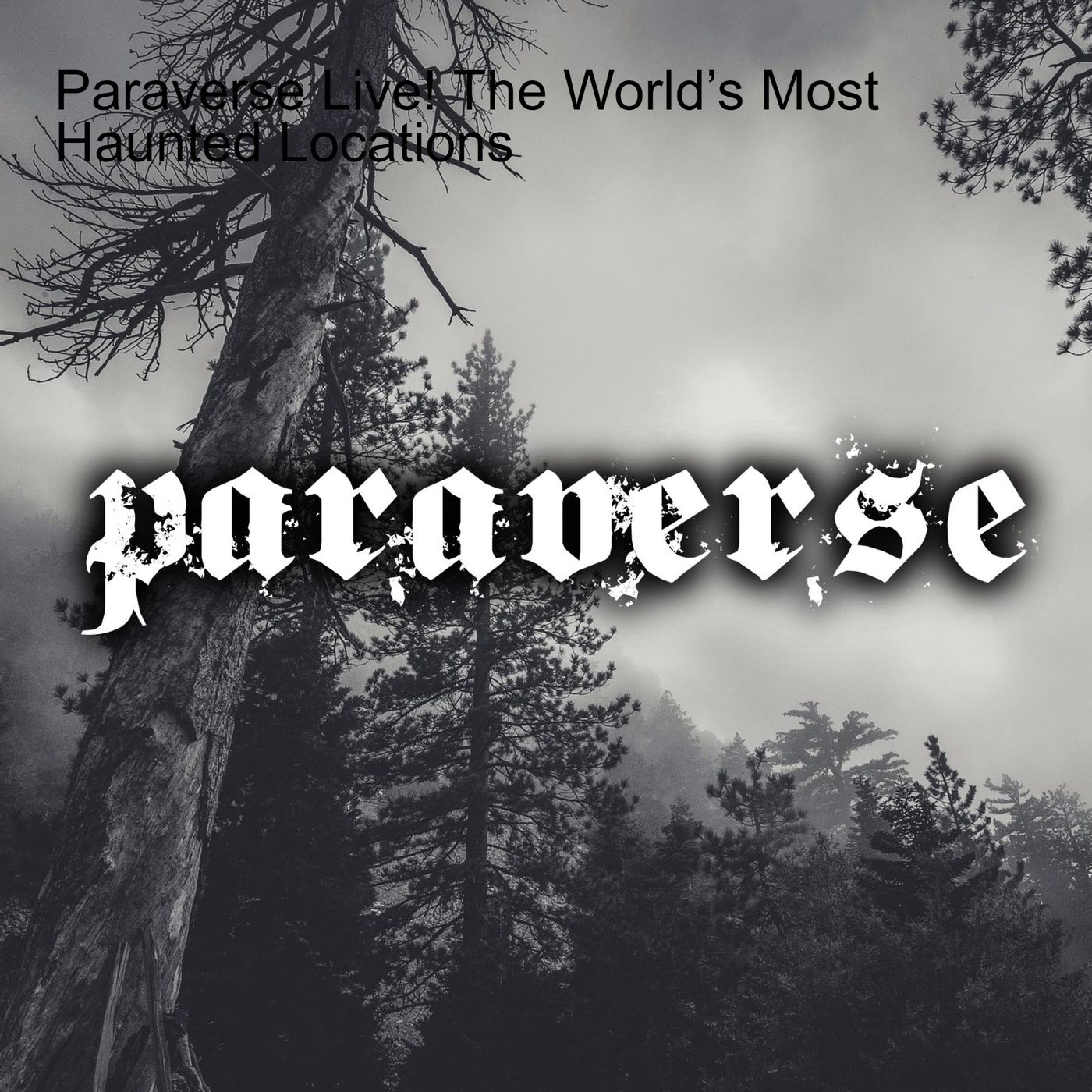 Paraverse - Live show and podcast series
