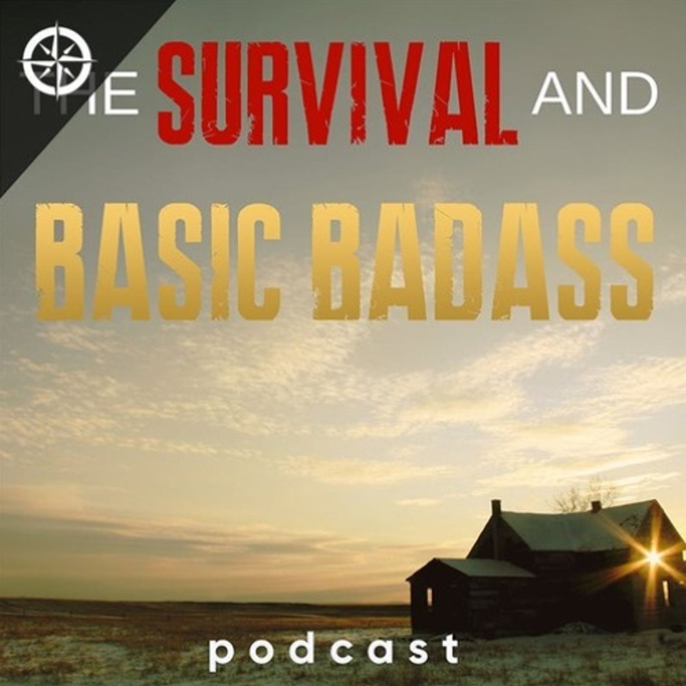 Survival and Basic Badass Prepper Podcast | Why Gun Confiscation Under Martial Law Will FAIL