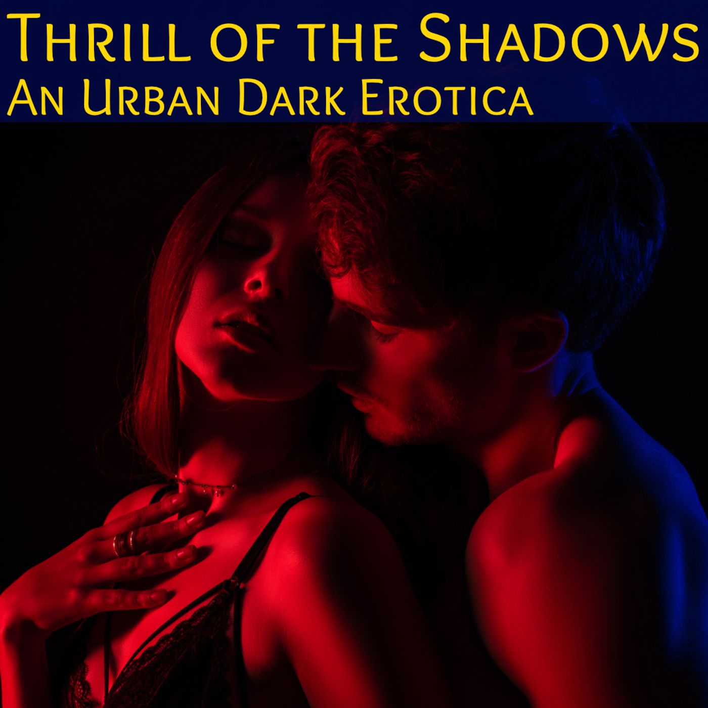 cover of episode The Thrill of The Shadows : A Strangers To Lovers Urban Erotic Fantasy