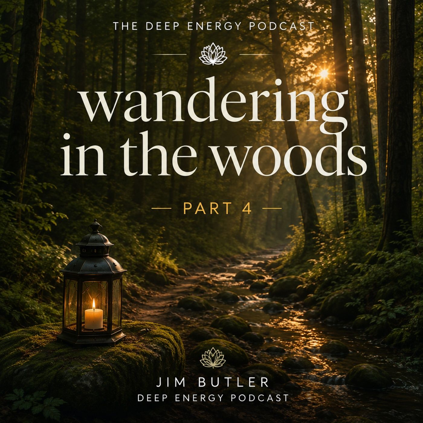 Deep Energy 2454 - Wandering in the Woods - Part 4 episode artwork