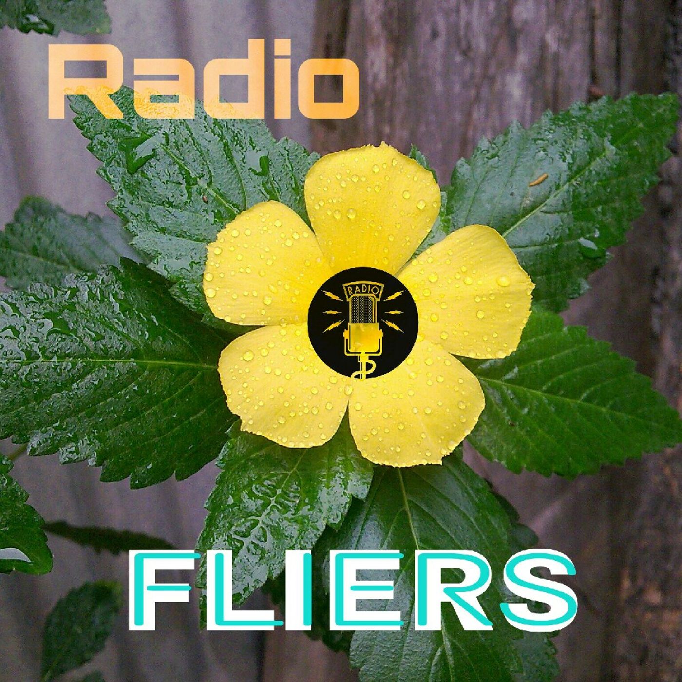 Radio FLIERS ☆