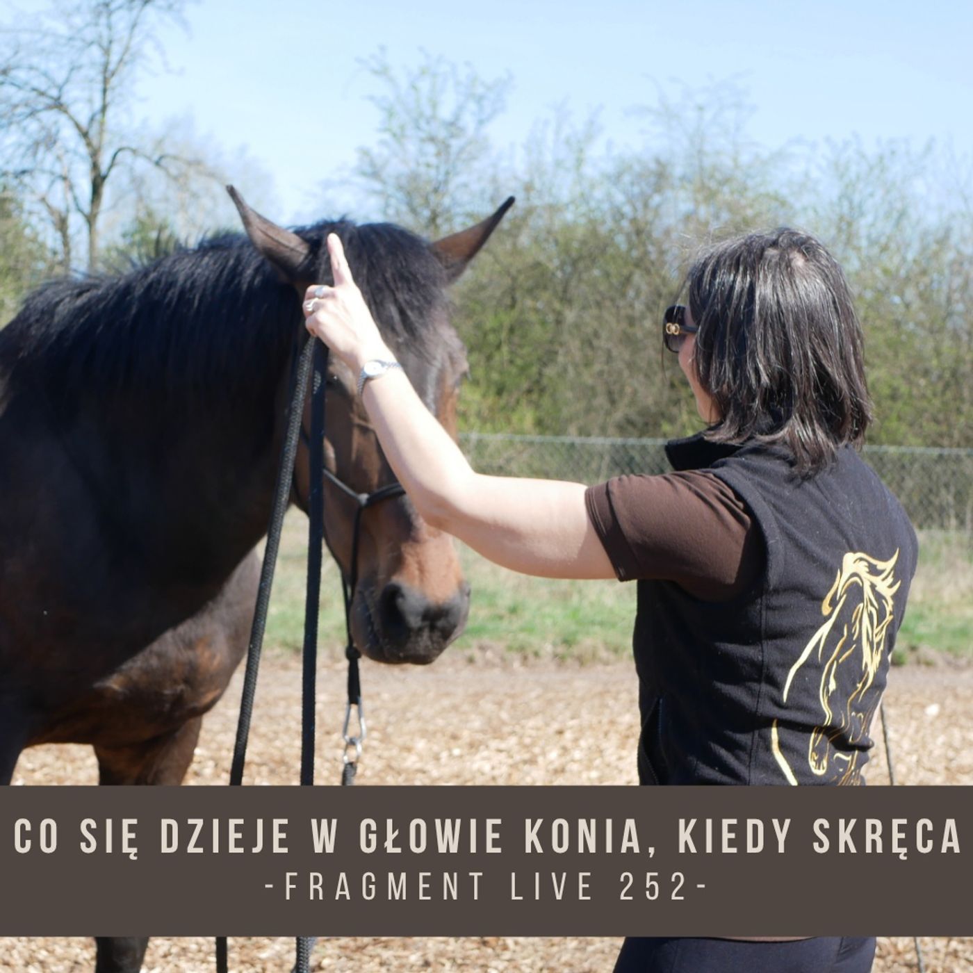 Co się dzieje w głowie konia kiedy skręca - fragment live 252