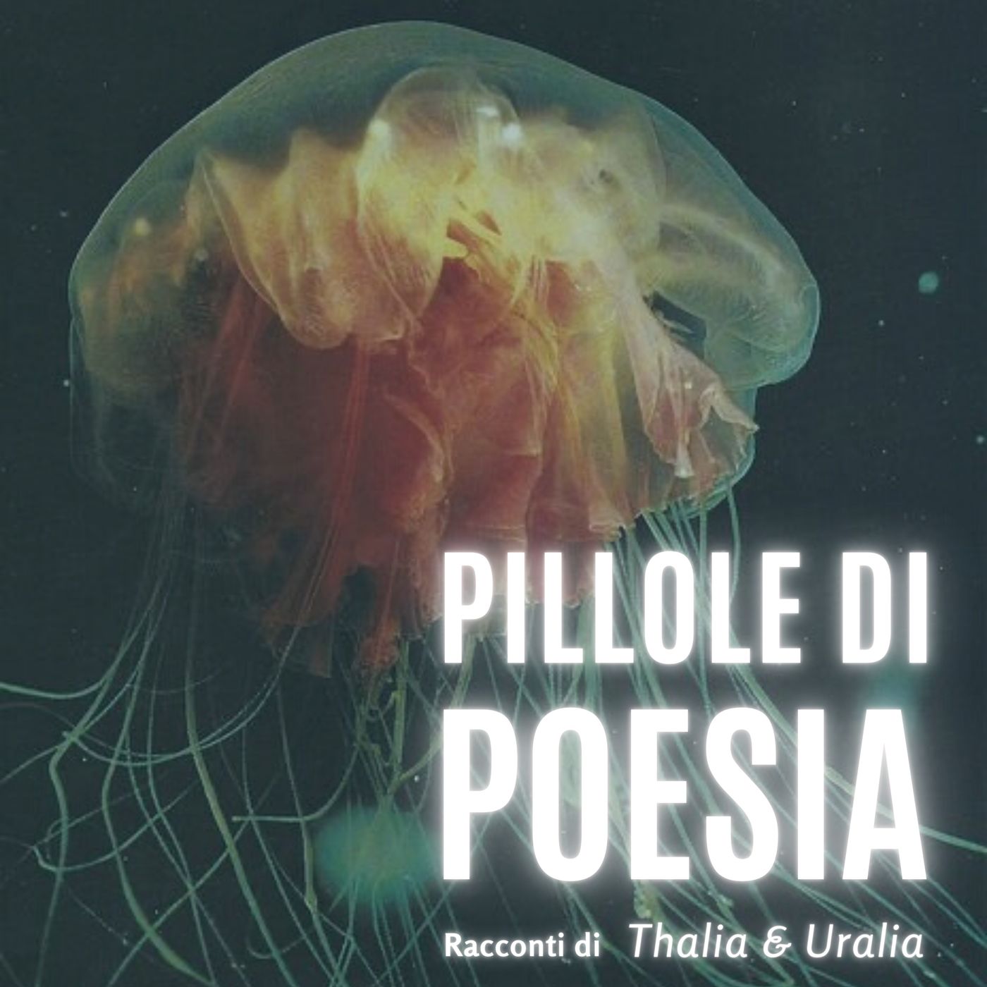 La Paura è una grande maestra