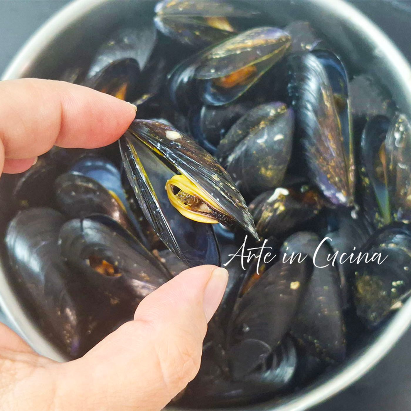 Come pulire le cozze e cucinarle: guida pratica e ricette episode artwork