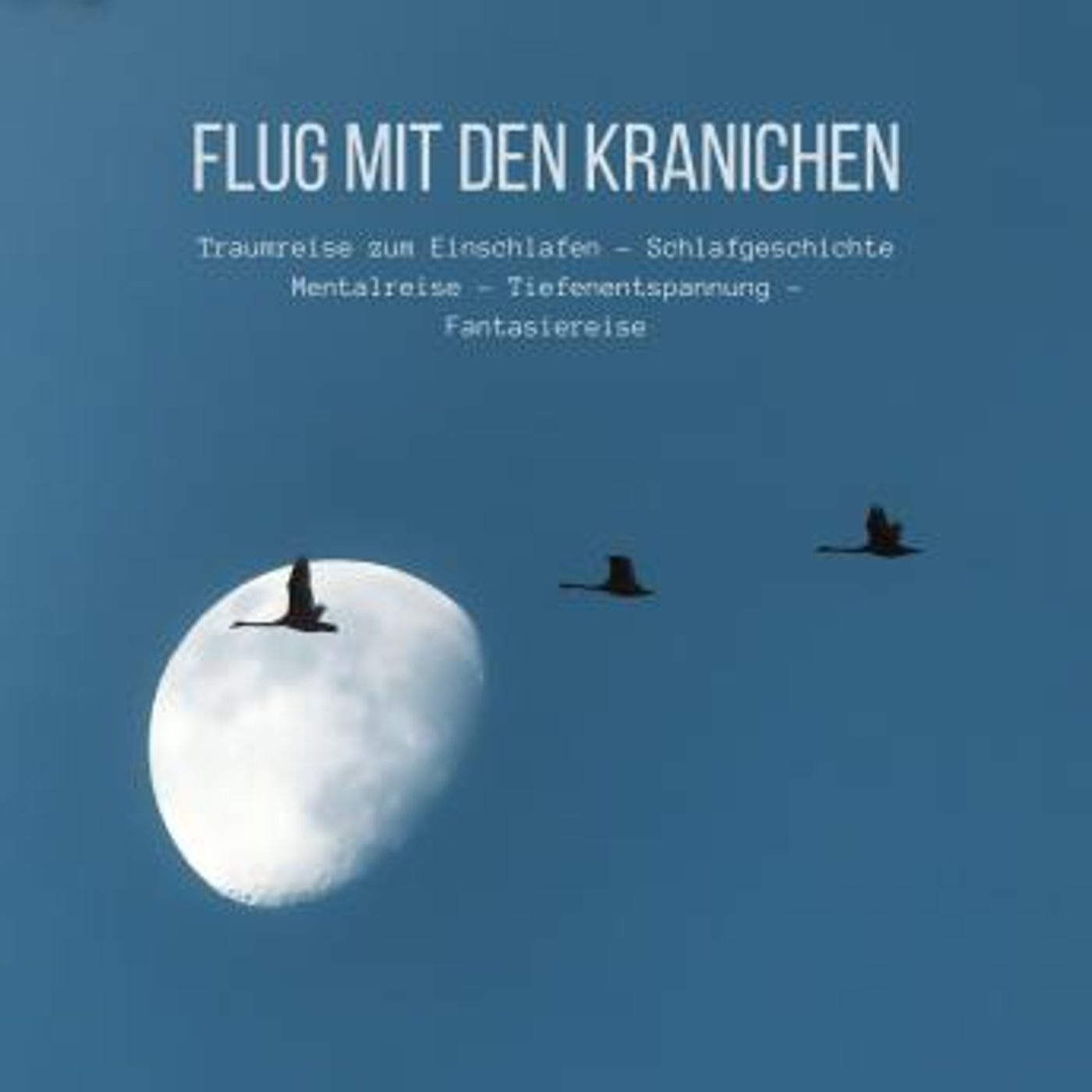 Download Best Full-Length Audiobooks in Health & Wellness, Mindfulness & Meditation