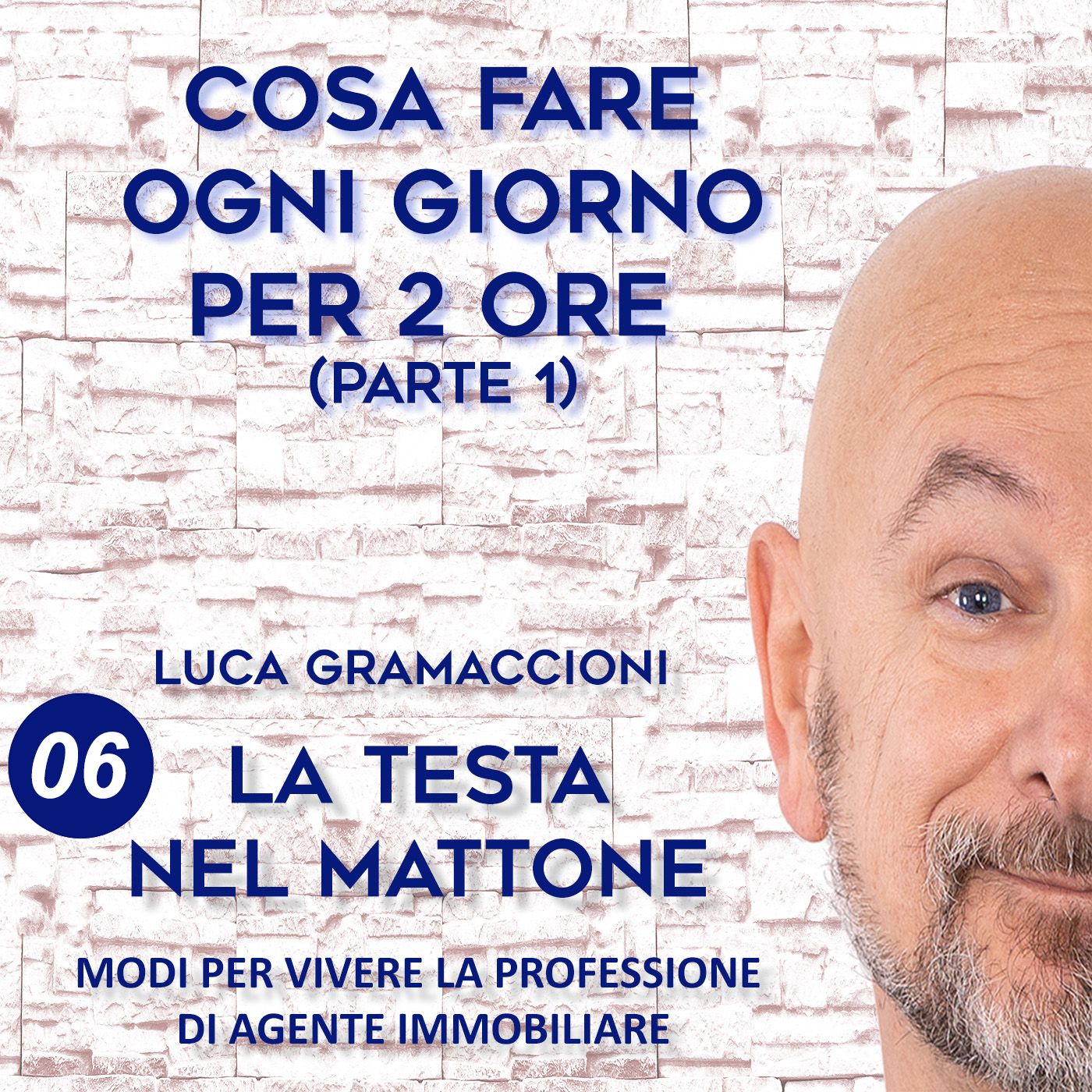 LA TESTA NEL MATTONE