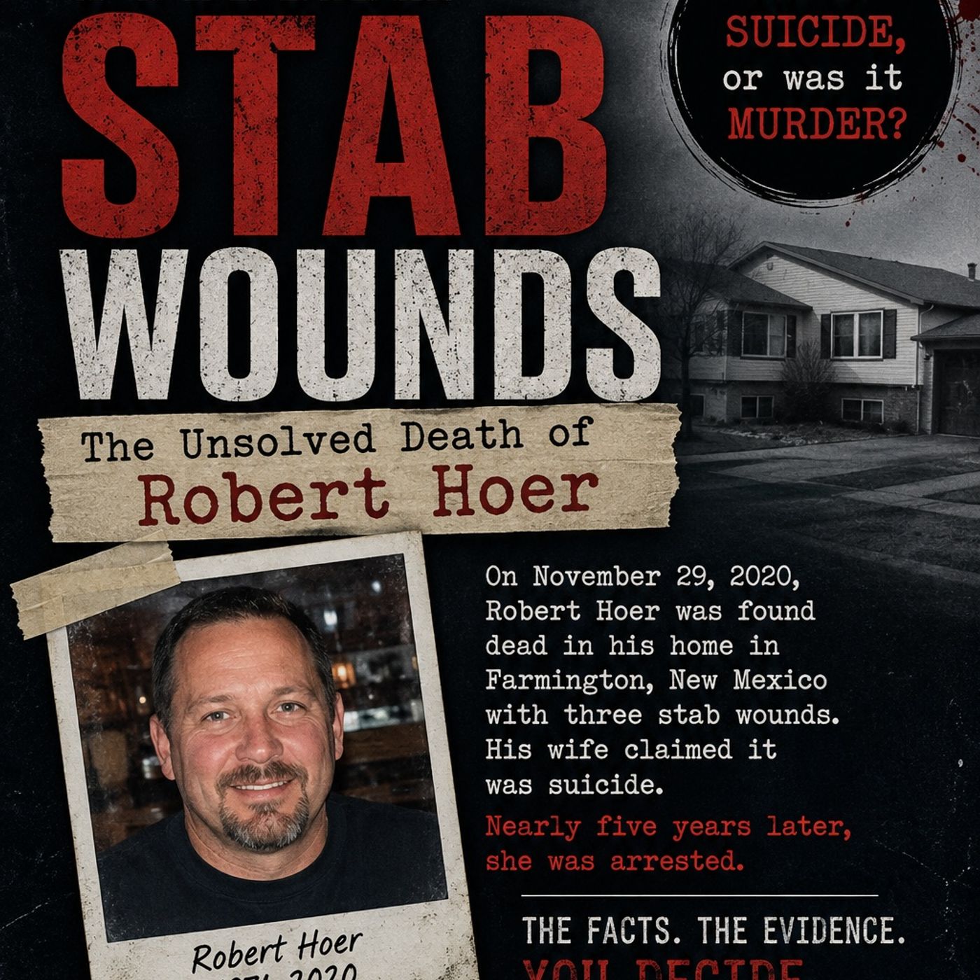 Three Stab Wounds: The Unsolved Death of Robert Hoer episode artwork